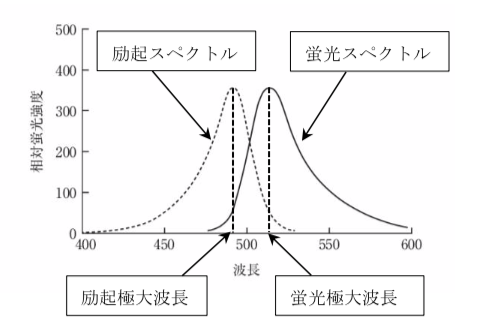 解説画像
